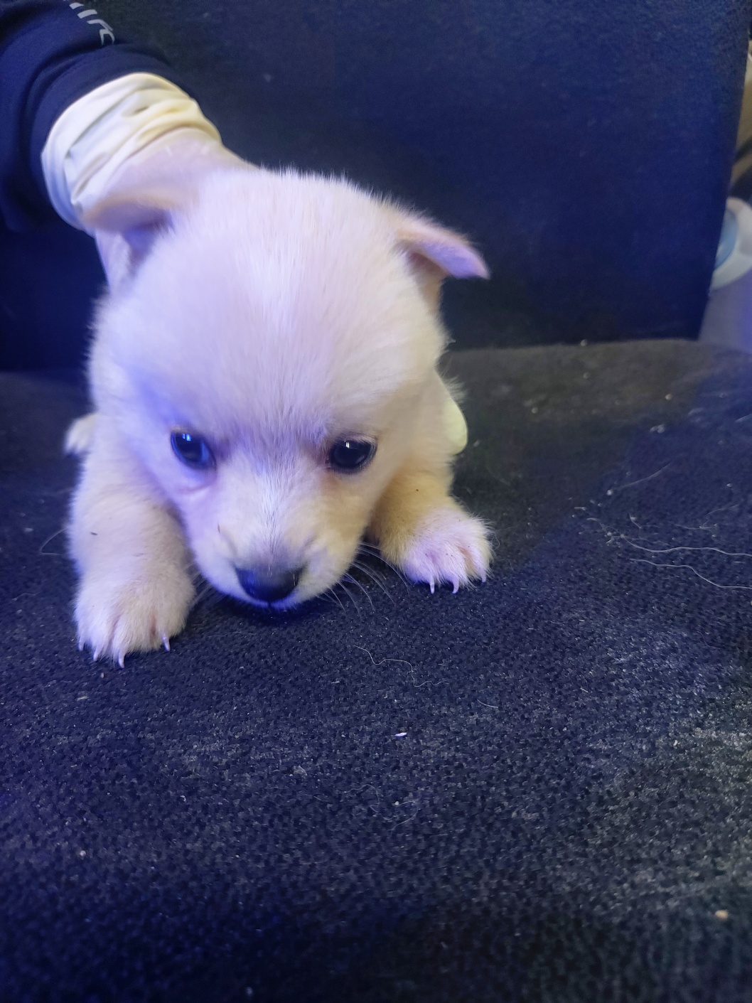전북말산업복합센터_445471202400706